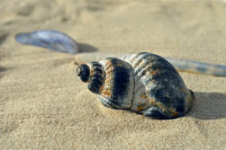 Sommerurlaub vom Mittwoch 17. bis Sonntag 21.09.2025